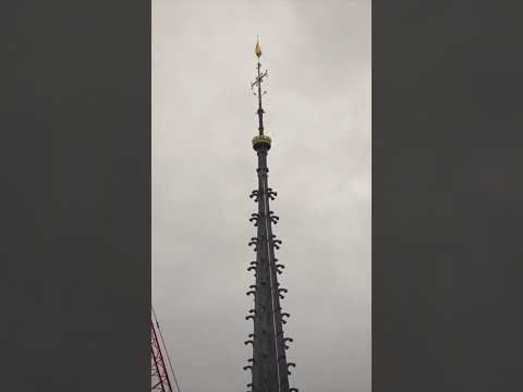 PARIS: Spektakuläre Zeitraffer-Aufnahme! So läuft die Renovierung von Notre-Dame I WELT #shorts