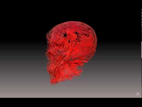 NanoMesh , skull,czaszka