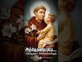 54 Antonyar Song 03 St Antony Songs Tamil Christian Whatsapp Status J56