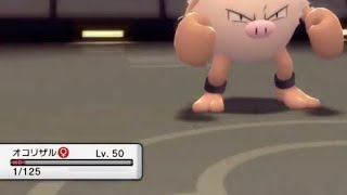 ポケポケで物足りずダイパリメイクでもメンヘラ化してしまうオコリザル