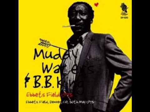 Muddy Waters & BB King - Ebbets Field 1973 - Instrumental With Muddy Intro