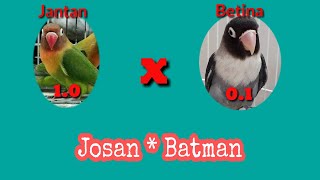 Download lagu Hasil Perkawinan Josan Dengan Batman mp3 Download lagu Hasil Perkawinan Josan Dengan Batman mp3