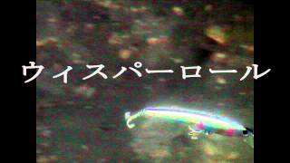 ZBLウィスパー127Sy<br>囁くような明滅のウィスパーロールをご確認下さい