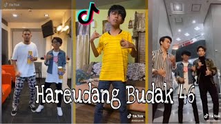 Download lagu Hareudang Budak 46 ft Baby Shima Compilation - Tik Tok mp3
