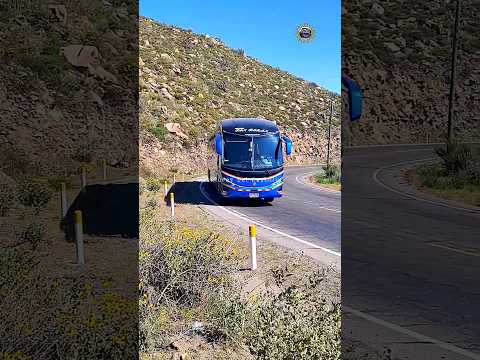Bus de la empresa, Expresó San Roman por la subida de Yura,  ruta de Arequipa-Puno-Cusco. #buses