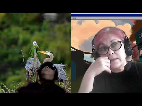 HIPNOZA REGRESIVA.RO-1736.Daniela,Bucla temporala karmatica E.LASCU coord si ELA tel.