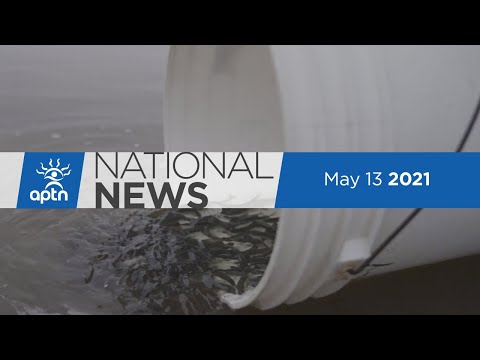 APTN National News May 13, 2021 – Quebec mining, Know your rights card, Chinook salmon release