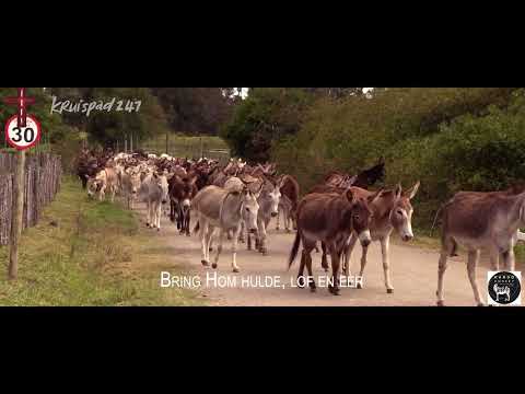 Hosanna Seun van God