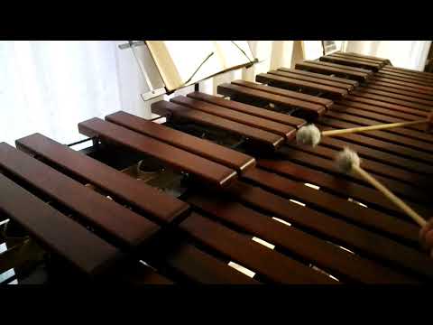 Inni di lode N°321: Mi parla Gesù Marimba Cover