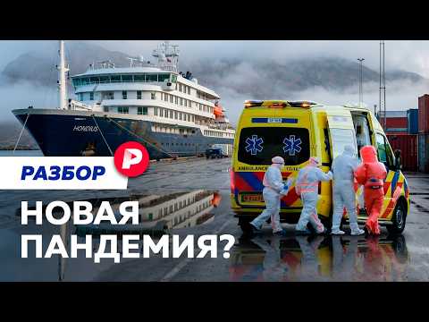 Может ли хантавирус добраться до России?