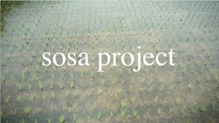 SOSA Project 田植え 2017
