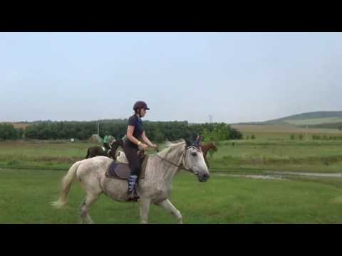 1. Vácdukai Családi Lovasnap karüsszel