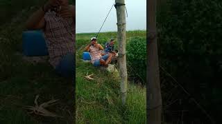 Download lagu 1 Juli 2022 mp3