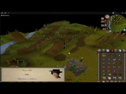 8 - Waterfall and Tree Gnome Village - Easy UIM