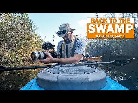 Back in Time: Another Okefenokee Swamp TRAVEL VLOG 🐊🛶
