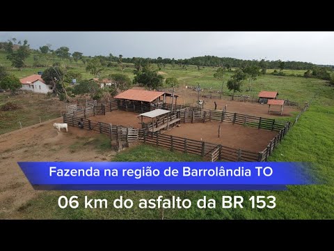 Fazenda a venda no Tocantins em Miranorte/TO