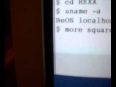 REXX Program running under BeOS with Loop and If statement.