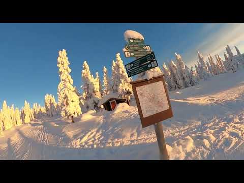 Afternoon sun in Sjusjön, beginning of February 2026. -18C. 