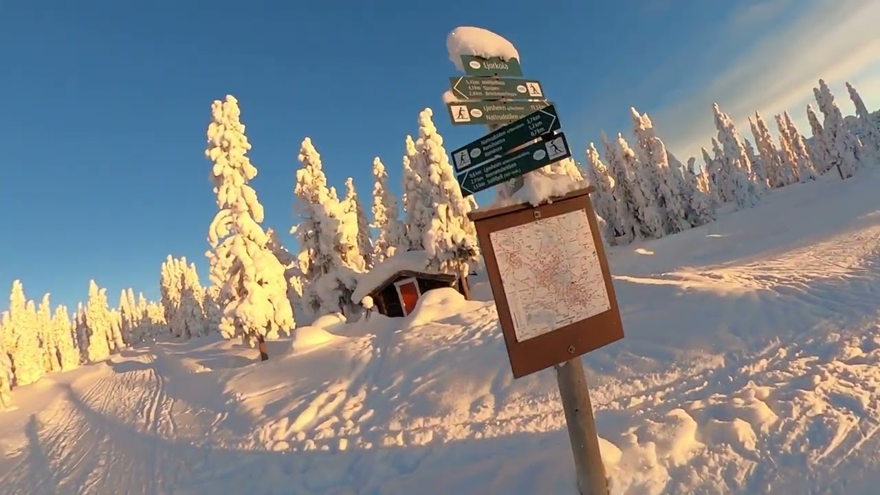 Afternoon sun in Sjusjön, beginning of February 2026. -18C.