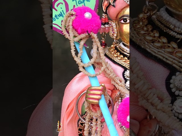 Harikrushna Maharaj