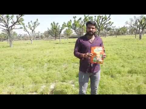 Organic Fertilizers and Manure