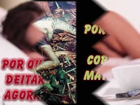 8 Anos video