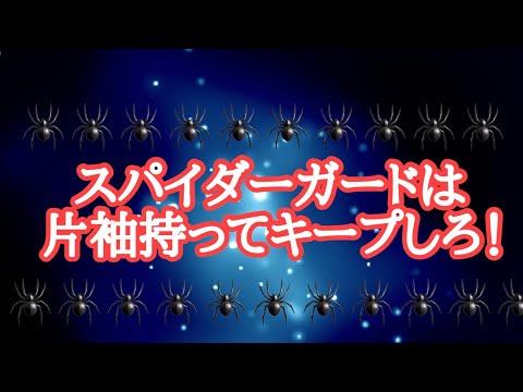 【しんすけ先生】スパイダーガードは片袖持ってキープしろ！