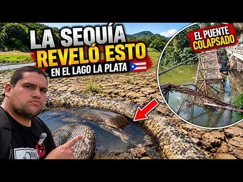 El Lago La Plata atraviesa uno de sus niveles más CRÍTICOS de 2026 🇵🇷