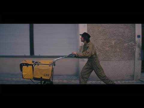 Seed to Tree - I Wouldn't Mind (Official Video)
