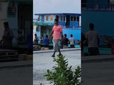 Offloading Goods from the Cargo boat #maldives #shorts