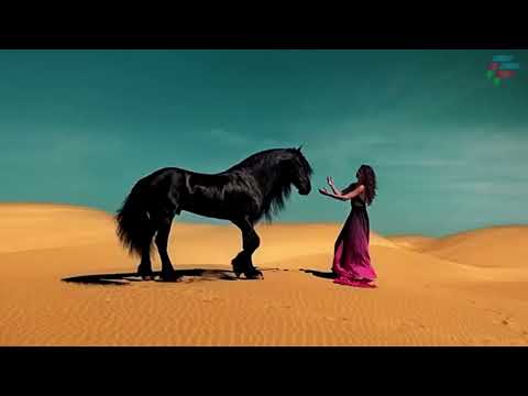 FatFoont - Take your time