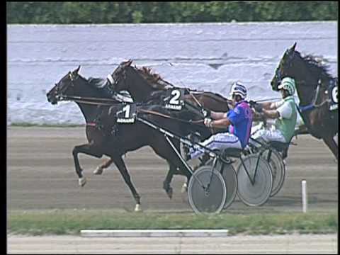 Trotto 22/06/2016 - 3° corsa