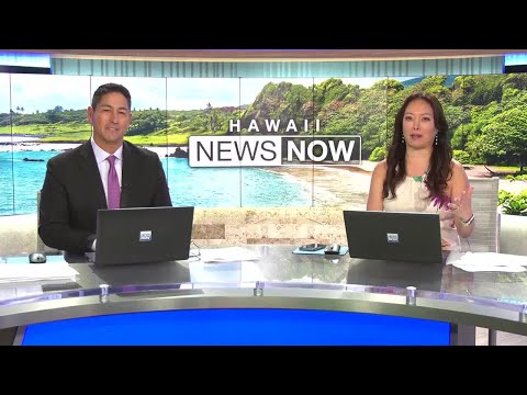 Here's the name of Sunrise's new mascot