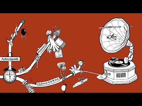 Thumbnail for How Did Everything Begin?: Animations on the Origins of the Universe Narrated by X‑Files Star Gillian Anderson by Sting