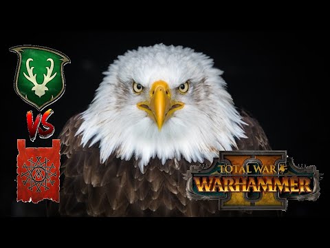 THE DREADED EAGLE BUILD | Wood Elves vs Skaven - Total War Warhammer 2