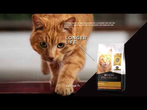 Purina Pro Plan OPTIDERMA dog adult Medium Sensitive Skin 14 kg, suaugusių vidutinių veislių, turinčių jautrią odą šunų sausas pašaras 12367239 video