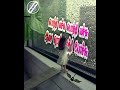 Pottu Mela Pottu Song WhatsApp Status Tamil Kaattisai