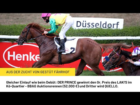 Fährhofer 1. und 3. im BBAG Auktionsrennen