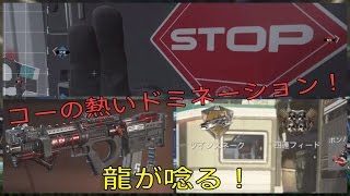 # 70 【COD：IW】熱いドミネは気持ち良いね！【DOM・BREAKOUT・KBAR】