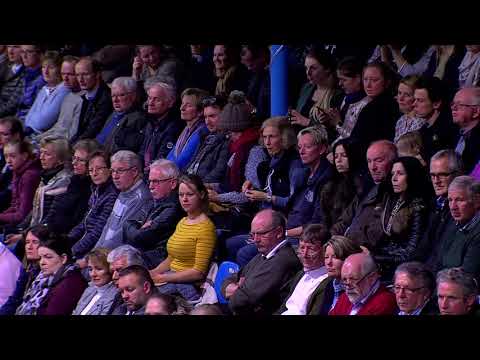 Feinrich Vechta English 2020