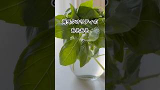 これぞ!海外クオリティ #海外生活 #vlog