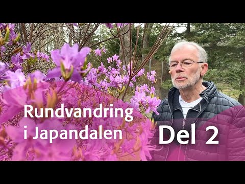 Rundvandring i Japandalen - del 2
