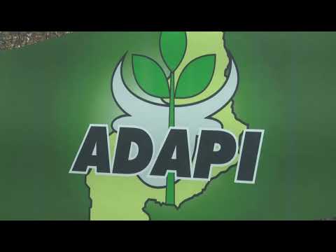 Campo Grande do Piauí registra caso de raiva equina