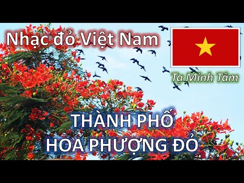 Thể hiện bởi Tạ Minh Tâm