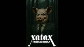 Video Preview / Nedělej debila //2025 @xatax