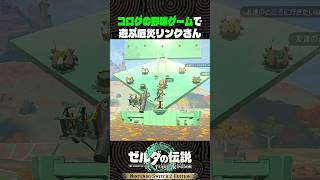 コログの野球ゲームで遊ぶ厄災リンクさん【ゼルダの伝説 ティアキン】