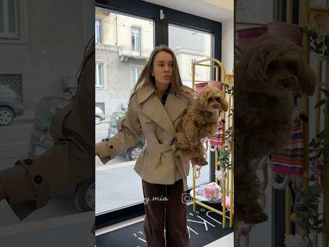 Grazie a Ukkia Corso Vercelli per il bagnetto, la maschera e il taglio perfetti! 🐾♥️ #doggroom