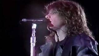Bon Jovi - Living in sin (live) - 06-02-1990