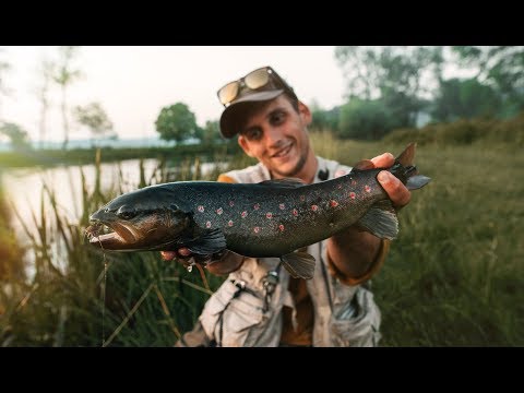 Fly Fishing for brown trout - River Gacka, Croatia