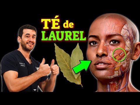 ENFERMEDADES que SANAN con TÉ de LAUREL (CÓMO USARLO)